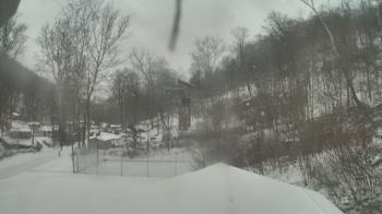 Weather camera view of Camp Guyasuta.