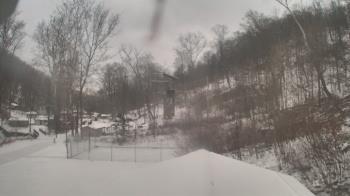 Weather camera view of Camp Guyasuta.
