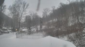 Weather camera view of Camp Guyasuta.