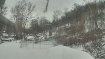 Weather camera view of Camp Guyasuta.