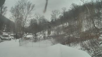 Weather camera view of Camp Guyasuta.