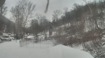Weather camera view of Camp Guyasuta.