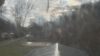 Weather camera view of Camp Guyasuta.