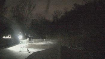 Weather camera view of Camp Guyasuta.