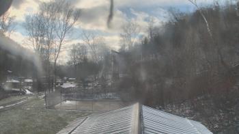 Weather camera view of Camp Guyasuta.
