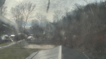 Weather camera view of Camp Guyasuta.