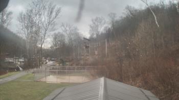 Weather camera view of Camp Guyasuta.