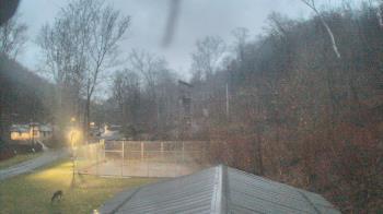 Weather camera view of Camp Guyasuta.