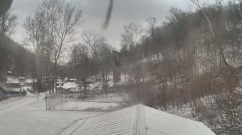 Weather camera view of Camp Guyasuta.