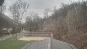 Weather camera view of Camp Guyasuta.