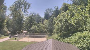 Weather camera view of Camp Guyasuta.