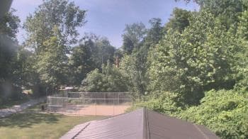 Weather camera view of Camp Guyasuta.