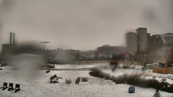 Weather camera view of British School Of Chicago - New campus.