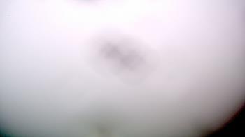 Weather camera view of Edgewater Beach.