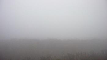 Weather camera view of Steven F. Udvar-Hazy Center.