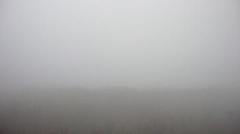 Weather camera view of Steven F. Udvar-Hazy Center.