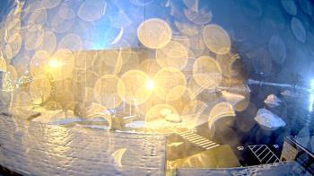 Weather camera view of St. Bridget School.