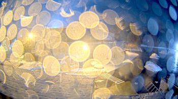 Weather camera view of St. Bridget School.