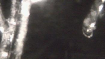 Weather camera view of Town of Sullivan.