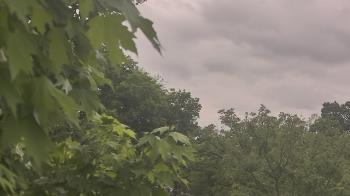 Weather camera view of Good Shepherd Catholic Montessori.