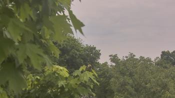 Weather camera view of Good Shepherd Catholic Montessori.
