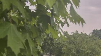 Weather camera view of Good Shepherd Catholic Montessori.