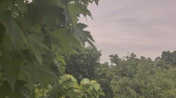 Weather camera view of Good Shepherd Catholic Montessori.