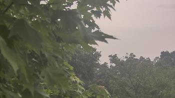 Weather camera view of Good Shepherd Catholic Montessori.