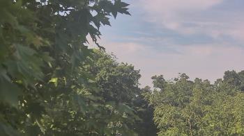 Weather camera view of Good Shepherd Catholic Montessori.