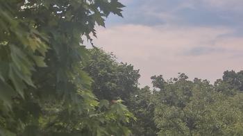 Weather camera view of Good Shepherd Catholic Montessori.