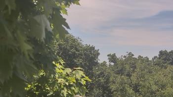 Weather camera view of Good Shepherd Catholic Montessori.