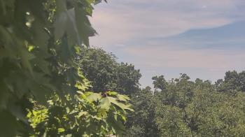 Weather camera view of Good Shepherd Catholic Montessori.