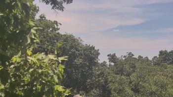 Weather camera view of Good Shepherd Catholic Montessori.