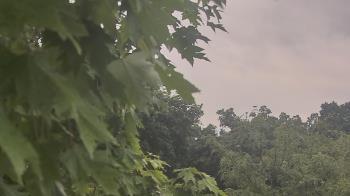 Weather camera view of Good Shepherd Catholic Montessori.