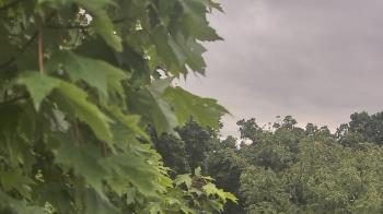Weather camera view of Good Shepherd Catholic Montessori.
