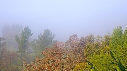 Weather camera view of College of the Canyons.