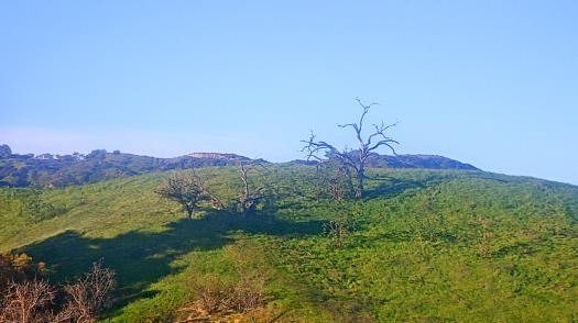 Weather camera view of College of the Canyons.