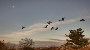 Weather camera view of Benjamin Banneker Charter School.