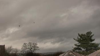 Weather camera view of Benjamin Banneker Charter School.