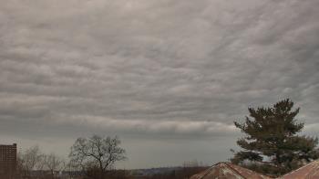 Weather camera view of Benjamin Banneker Charter School.