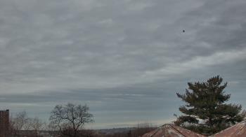 Weather camera view of Benjamin Banneker Charter School.