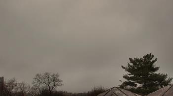 Weather camera view of Benjamin Banneker Charter School.