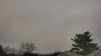 Weather camera view of Benjamin Banneker Charter School.