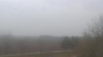 Weather camera view of Walkers Bluff.