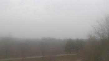 Weather camera view of Walkers Bluff.