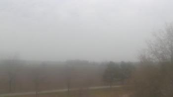 Weather camera view of Walkers Bluff.