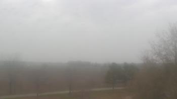 Weather camera view of Walkers Bluff.