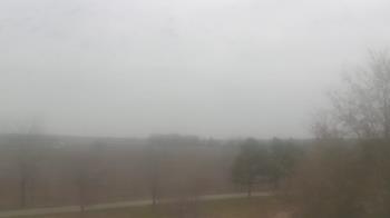 Weather camera view of Walkers Bluff.