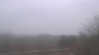 Weather camera view of Walkers Bluff.