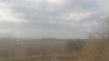 Weather camera view of Walkers Bluff.